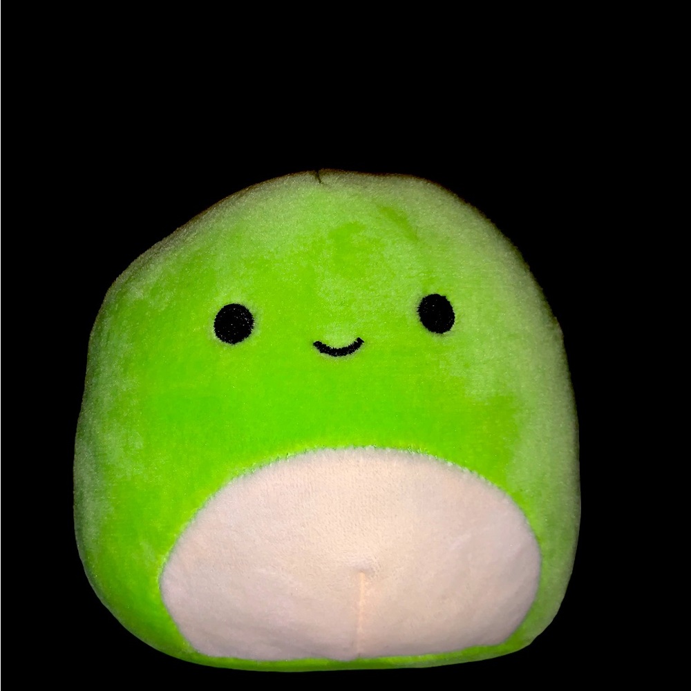 New WO paper tag 2018 Squishmallows Henry the Turtle 4 inch Stuffed Plushie